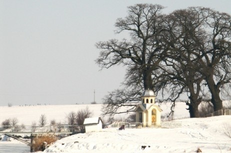 Pădurea Pasărea